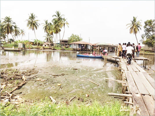 Niger Delta Environment